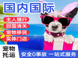 洛阳北郊航空运输国际宠物托运 【国